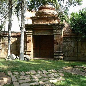 Galapagos giant tortoises and rhinoceros iguanas enclosure