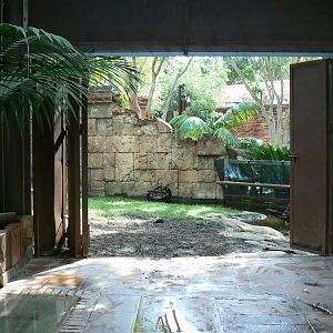 Galapagos giant tortoises and rhinoceros iguanas house