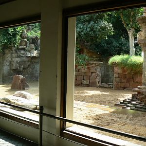 Komodo dragons outdoor exhibit - View from the reptiles house