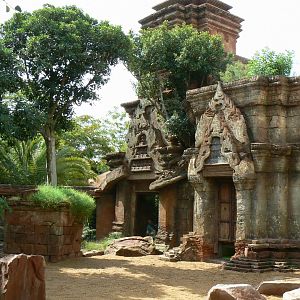Komodo dragons outdoor exhibit
