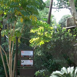 Visayan tarictic hornbills and Bali mynas aviary