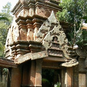 Komodo dragons outdoor exhibit