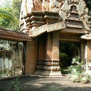 Komodo dragons outdoor exhibit