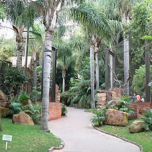 Left : Wreathed hornbills aviary - Right : Great hornbill aviary