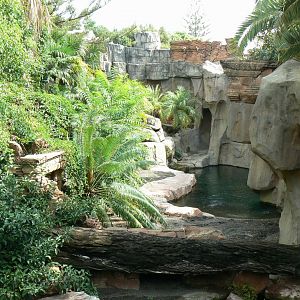 Second false gharials exhibit