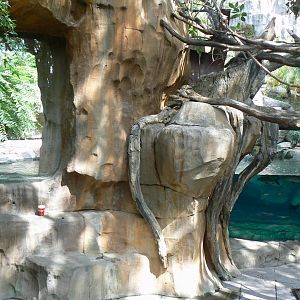 Second false gharials exhibit from a lower level