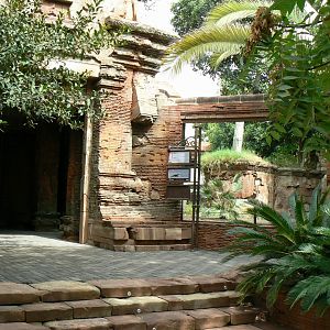 Komodo drgons outdoor exhibit