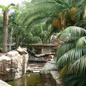 Right : Golden-cheeked gibbons island - Left : Binturongs exhibit - On the ground : Malayan tapirs exhibit