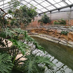 Nile Crocodiles exhibit (Main pool)