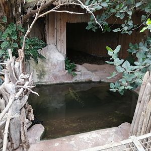 Second Philippine crocodiles exhibit