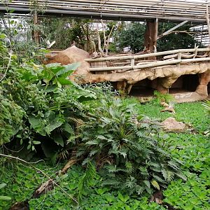 Morelet's Crocodiles exhibit
