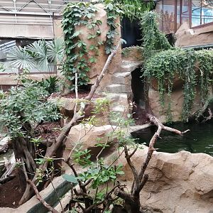 Python Island : Reticulated Pythons exhibit