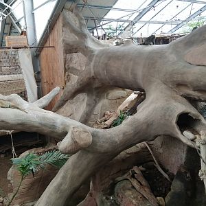 Espace Aventure : South American exhibit