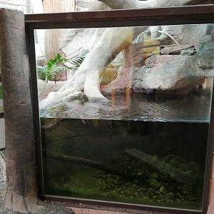 Espace Aventure : South American exhibit