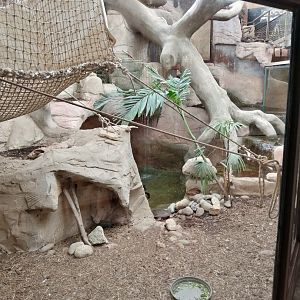 Espace Aventure : South American exhibit