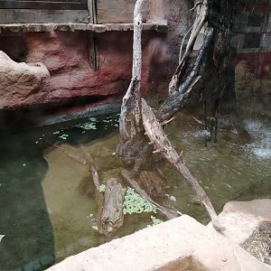 Espace Aventure : Turtles exhibit
