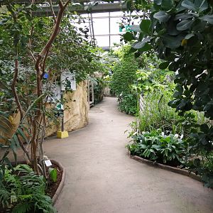Greenhouse
