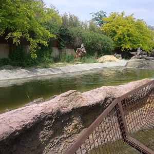 Outdoor area : Nile Crocodiles exhibit