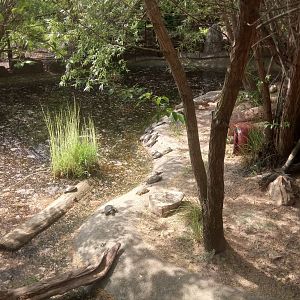 Outdoor area : European pond turtles exhibit