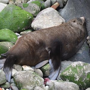 Soft spot for a nap?