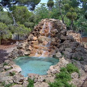 Asian Black Bears exhibit 2007