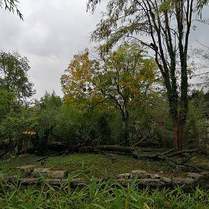 Binturongs and Otters Exhibit