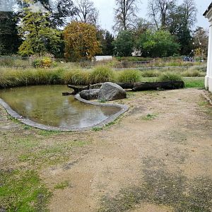 West African Crocodiles outdoor exhibit arround the African Savana