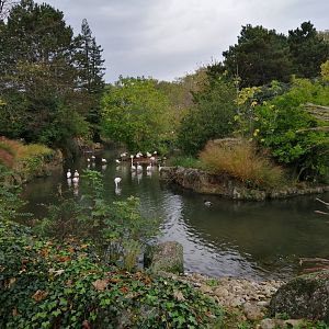 African Panorama - Birds Pond