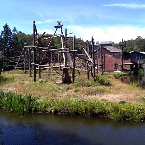 Orangutan outdoor exhibit
