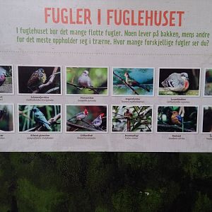 Species sign in birdhouse