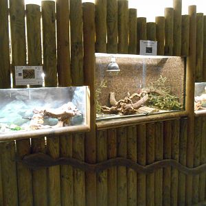 Reptiles House