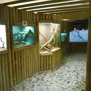 Reptiles House