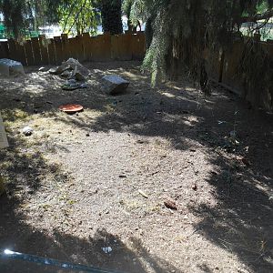 European Tortoises Exhibit