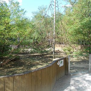 Coatis Exhibit