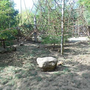 Coatis Exhibit