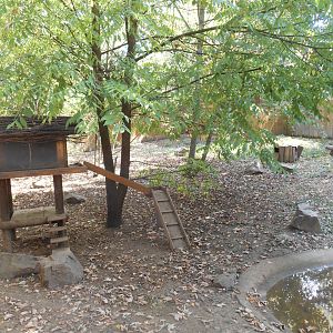 American Minks Exhibit
