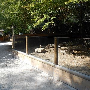 Black-tailed Prairie Dogs Exhibit