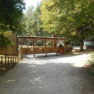 Mackenzie River Wolf Exhibit