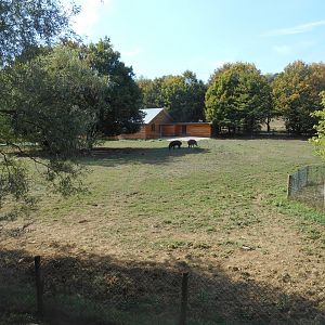 South America Exhibit