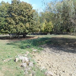 South America Exhibit