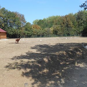 South American Contact Exhibit