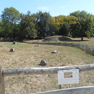 Dingos (in front) and Emus (behind) Exhibits
