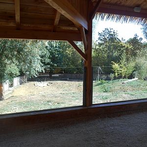 Asian Small-clawed Otters Exhibit
