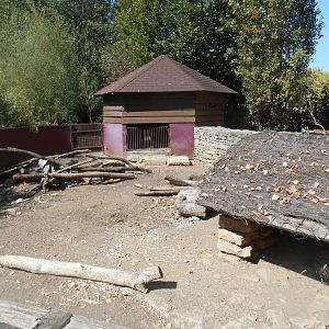 Crested Porcupines Exhibit