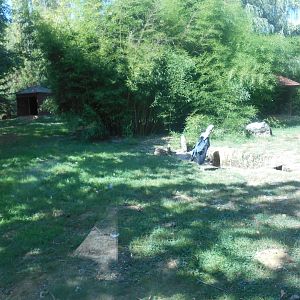 Marabou Storks Exhibit