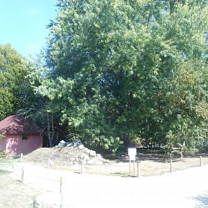 Walkthrough Lemurs Exhibit
