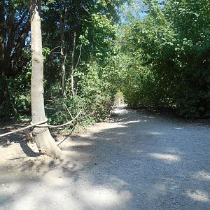 Walkthrough Lemurs Exhibit
