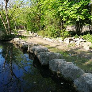 First Indian Rhinoceros Exhibit
