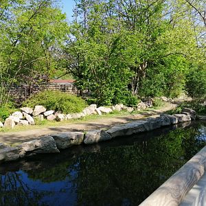 First Indian Rhinoceros Exhibit