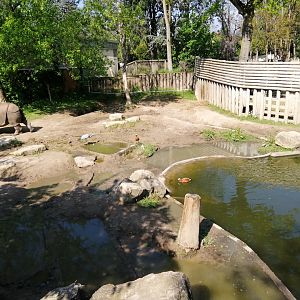 Second Indian Rhinoceros Exhibit